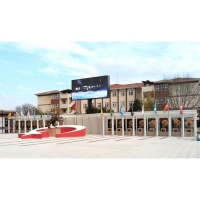 Polyester Turk Buyukleri Bustu